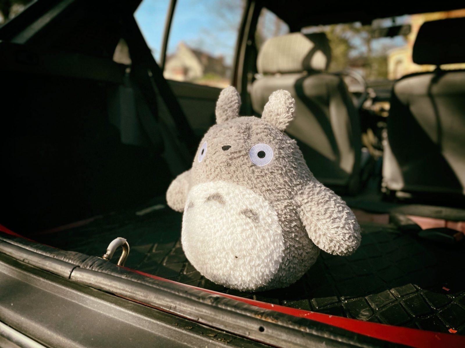 Totoro copilote